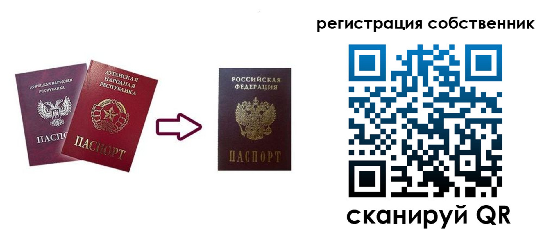 прописка для школы в Похвистнево